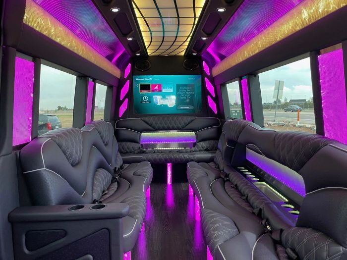 Sprinter limo lounge with TV